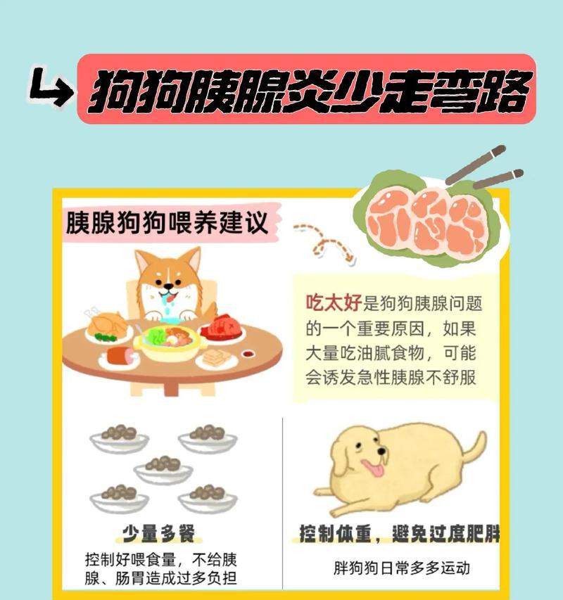 狗狗保持健康体重的实用指南｜科学控肥全攻略