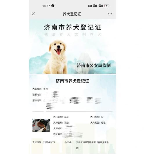 深圳狗证办理全攻略|所需材料和步骤详解 深圳狗证办理全攻略|所需材料和步骤详解
