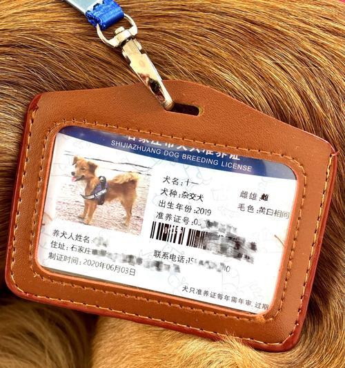 深圳狗证办理全攻略|所需材料和步骤详解 深圳狗证办理全攻略|所需材料和步骤详解