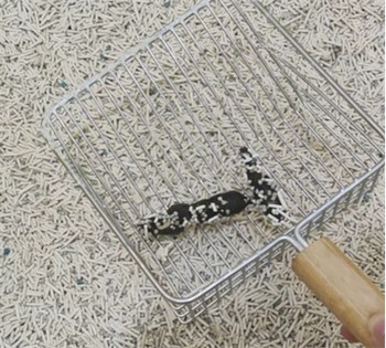 猫爸爸的厨房三合一混合猫砂测评:低粉尘快结团性价比高 猫爸爸的厨房三合一混合猫砂测评:低粉尘快结团性价比高