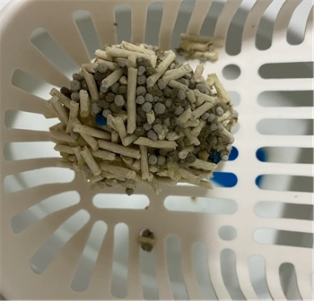 蓝氏猫砂测评:结团快除臭可但粉尘多后期易碎 蓝氏猫砂测评:结团快除臭可但粉尘多后期易碎
