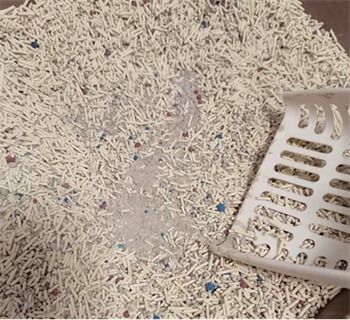 初花混合豆腐猫砂测评:优缺点分析及使用体验全面解析 初花混合豆腐猫砂测评:优缺点分析及使用体验全面解析