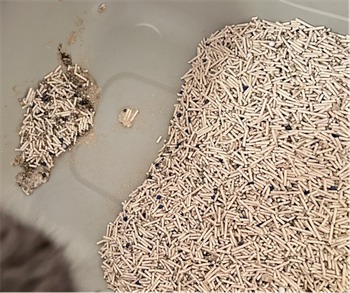 嗒朵黑尾巴猫砂测评：结团除臭效果佳性价比高