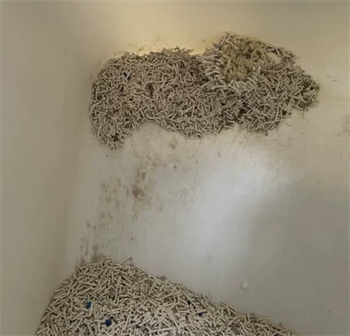 初花混合豆腐猫砂测评:优缺点分析及使用体验全面解析 初花混合豆腐猫砂测评:优缺点分析及使用体验全面解析