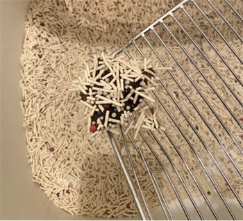 初花混合豆腐猫砂测评:优缺点分析及使用体验全面解析 初花混合豆腐猫砂测评:优缺点分析及使用体验全面解析