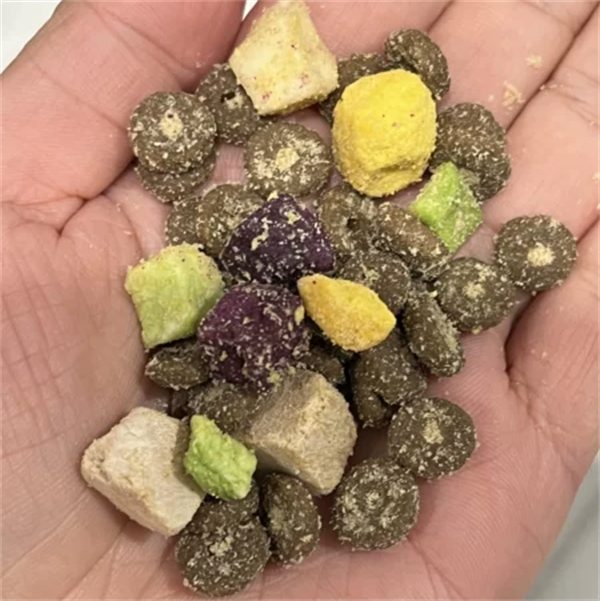 诚实一口N33PLUS冻干犬粮测评 营养全面适口性佳