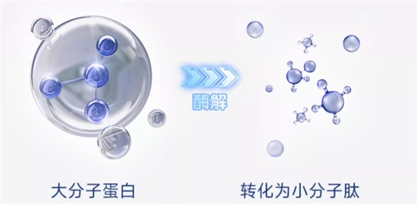 毛球殿下免疫力鸡肉猫粮测评 动物性原料84%呵护肠道健康