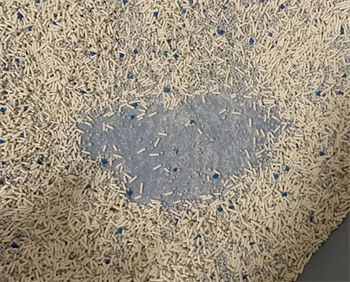 有鱼混合猫砂测评：结团好遮臭佳但粉尘问题严重