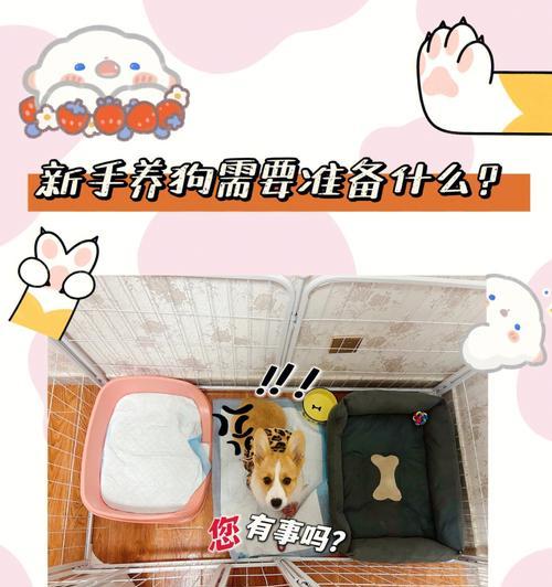 狗狗生产前必备物品清单，母犬分娩准备工作全指南