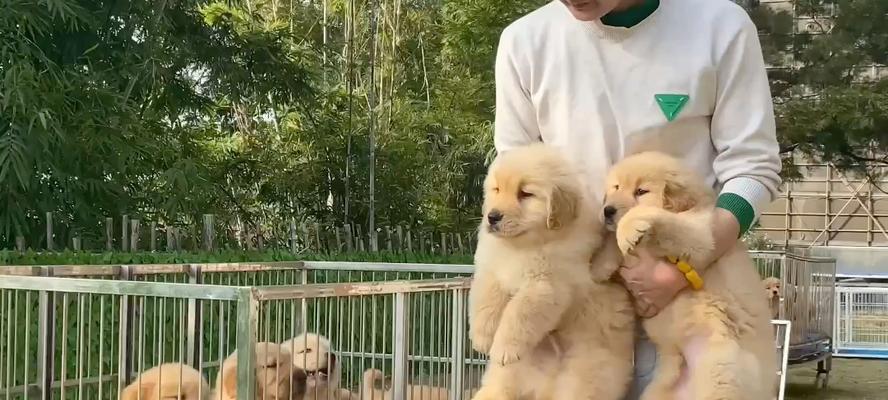 养护知识