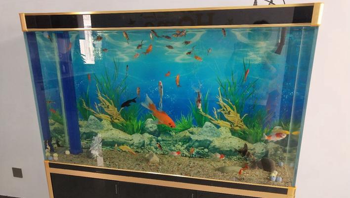 1.5米鱼缸养鱼指南:适合小型鱼缸的观赏鱼选择与养殖技巧 1.5米鱼缸养鱼指南:适合小型鱼缸的观赏鱼选择与养殖技巧