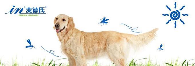 狗狗如何散热降温?15种有效散热方法全解析 狗狗如何散热降温?15种有效散热方法全解析