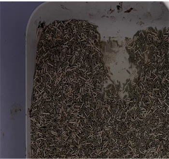 滋奇双子星豆腐猫砂测评:结团快粉尘少但粘底严重 滋奇双子星豆腐猫砂测评:结团快粉尘少但粘底严重