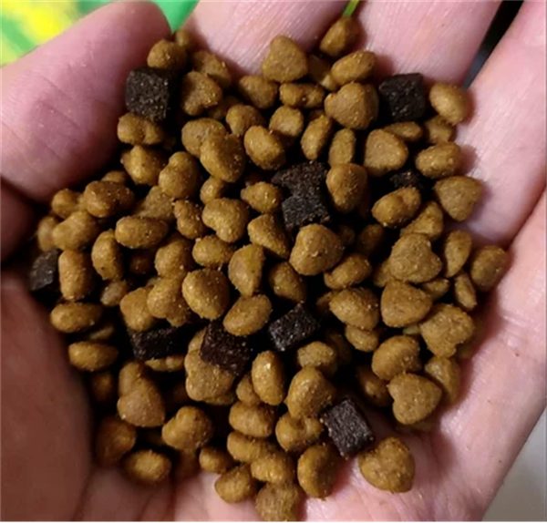 疯狂小狗牛肉益生菌狗粮评测：低端产品不建议长期喂食