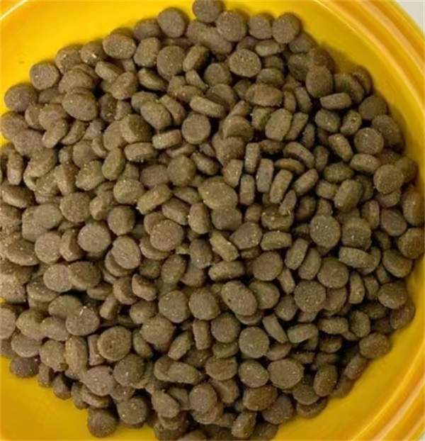 纽顿T34猫粮深度测评，高蛋白鱼类配方营养均衡性价比不错