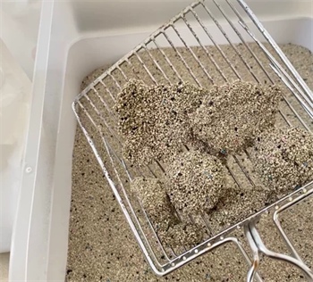 网易严选除臭天然矿砂测评：粉尘少但带出严重需混用