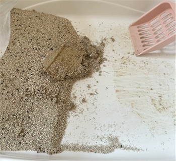 网易严选除臭天然矿砂测评：粉尘少但带出严重需混用