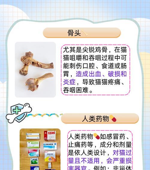 猫咪饮食需求全攻略：如何选择最健康的食物搭配