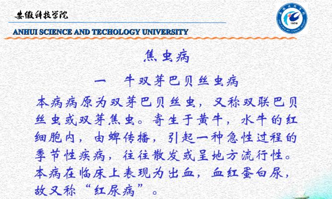 狗焦虫病症状识别与防治全攻略：守护爱宠健康指南