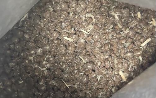 乐顿鸡肉乳鸽猫粮测评:高蛋白低淀粉性价比之选 乐顿鸡肉乳鸽猫粮测评:高蛋白低淀粉性价比之选