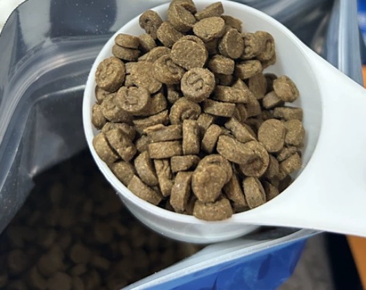 星宴鱼肉烘焙猫粮测评：高蛋白美毛配方适合掉毛猫咪吗