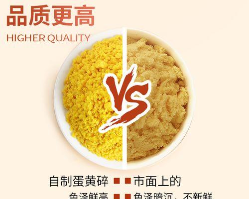 小泰迪多久喂一次蛋黄合适？科学喂养频率指南