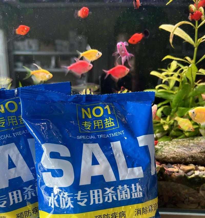 锦鲤养殖中盐和药物使用时机全攻略，保障观赏鱼健康生长