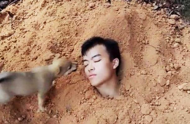 狗狗埋土后多久完全腐烂？影响腐烂速度的15大关键因素解析