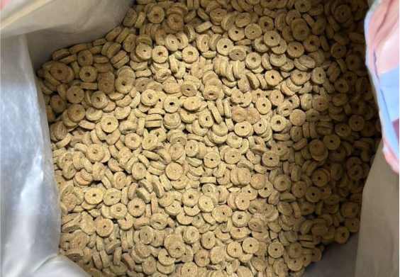 蓝氏天然乳鸽烘焙猫粮品质测评 高蛋白低淀粉营养配方 蓝氏天然乳鸽烘焙猫粮品质测评 高蛋白低淀粉营养配方