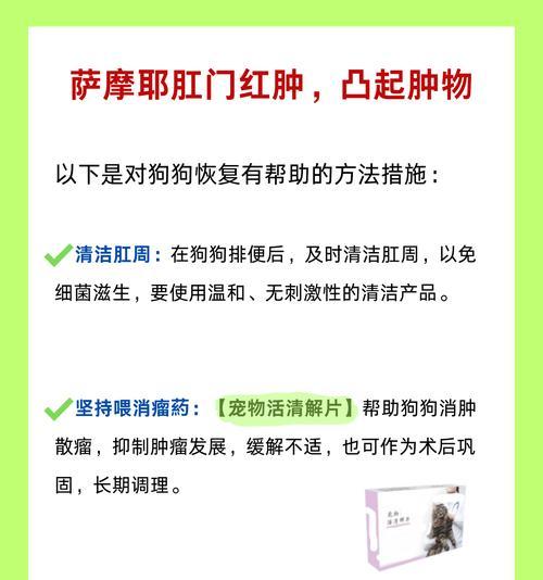 萨摩耶拉稀原因分析及有效处理方法全攻略
