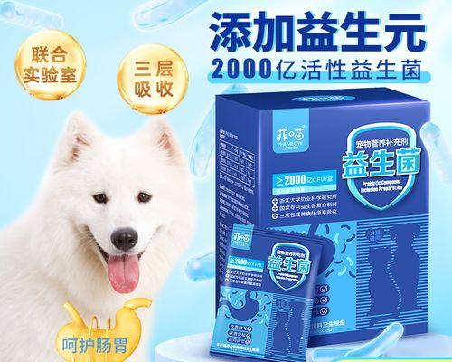 萨摩耶拉稀原因分析及有效处理方法全攻略