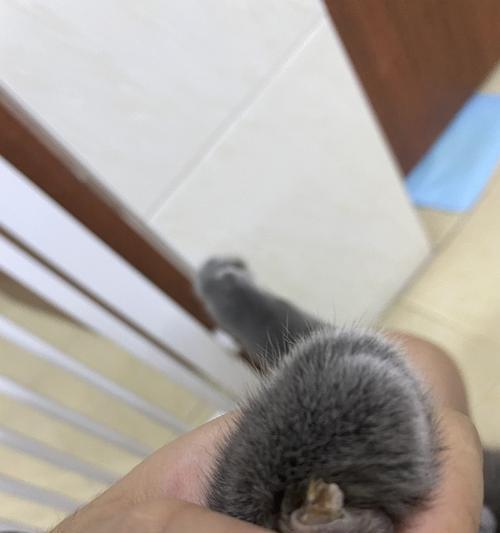 断血线多久能恢复？影响伤口愈合的关键因素解析