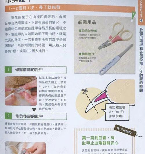 断血线多久能恢复？影响伤口愈合的关键因素解析