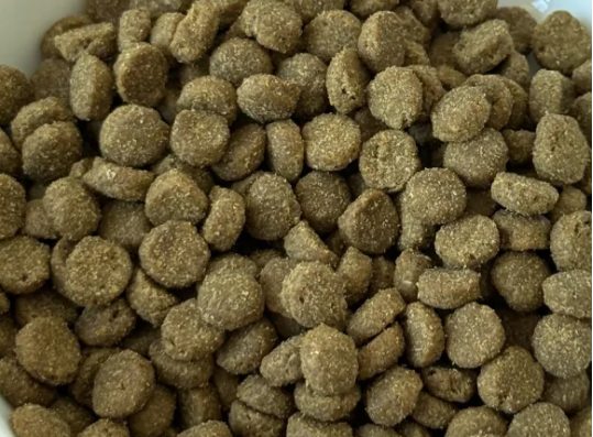 有鱼酥化幼猫粮评测：高蛋白低敏配方助力幼猫健康成长