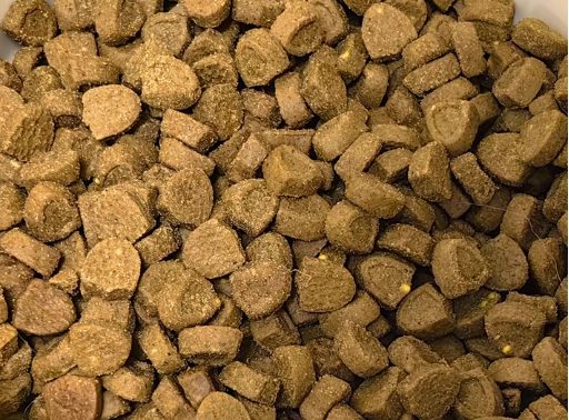 茁悦烘焙猫粮深度测评：乳铁蛋白加持提升猫咪免疫力