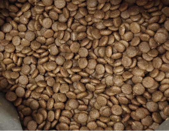 猫小闹经典5.0膨化猫粮测评 高蛋白无谷配方性价比分析