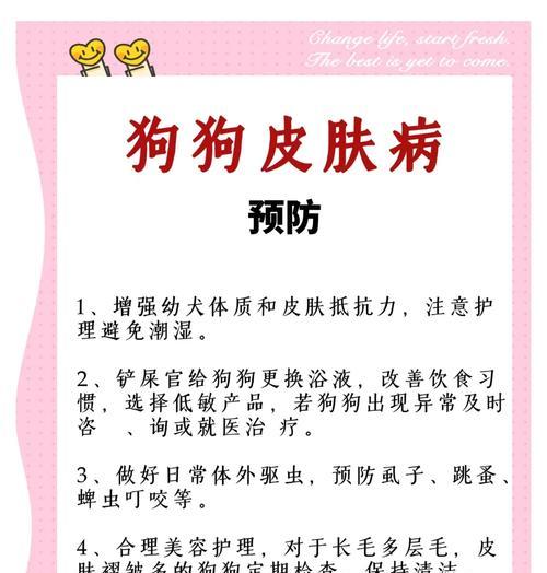 狗狗皮肤过敏多久能好？全面解析治疗周期与有效方案