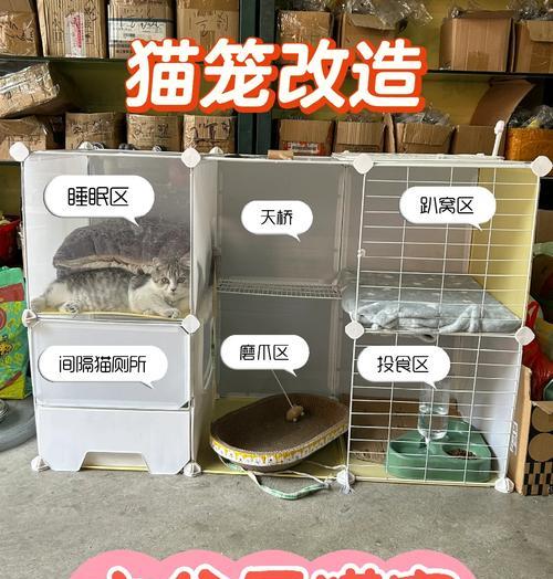 猫咪适应笼子需要多长时间及训练方法详解 猫咪适应笼子需要多长时间及训练方法详解