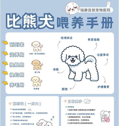 比熊犬驱虫全攻略：频率安排与注意事项详解
