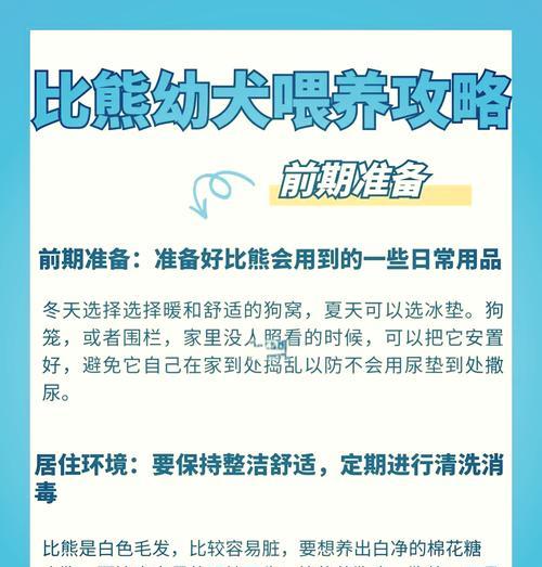 比熊犬驱虫全攻略：频率安排与注意事项详解