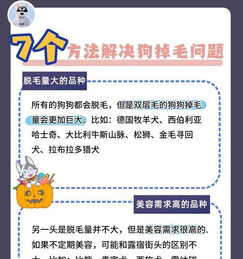 哈士奇夏季脱毛高峰期应对指南：原因分析与护理方法