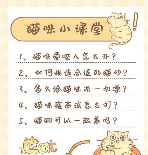 猫咪攻击人怎么办？15个有效方法解决猫咪攻击行为