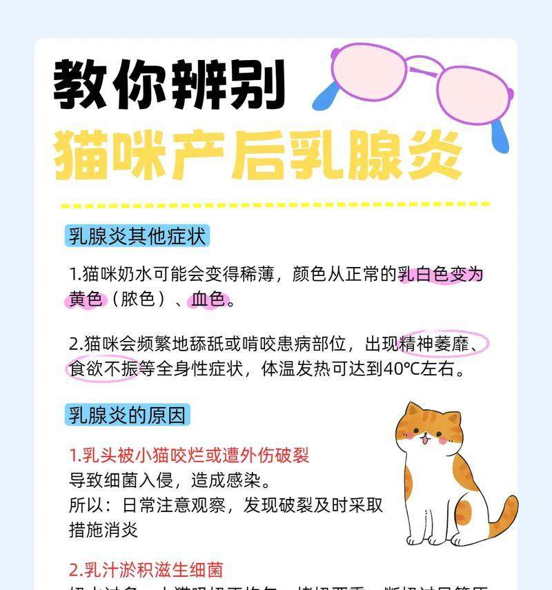 猫咪产后多久开始有奶水及哺乳护理全攻略 猫咪产后多久开始有奶水及哺乳护理全攻略