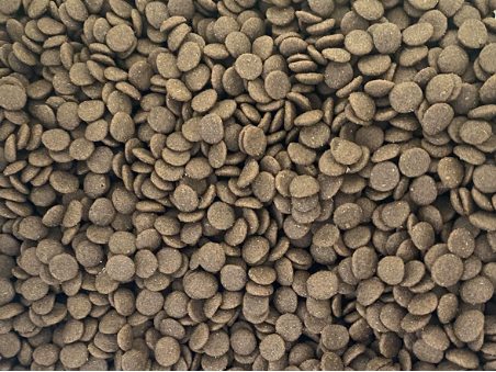 聪颖老年犬粮评测：营养配比适中适合多数老年犬食用