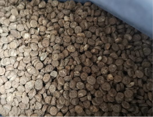 喵彩真鲜肉烘焙猫粮测评：高蛋白配方营养分析