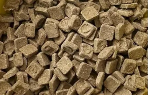 金故鸭肉烘焙猫粮评测：高蛋白配方适合增肌猫咪