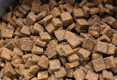 鲜粮说牛肉贻贝犬粮测评 营养丰富适合幼犬成犬 鲜粮说牛肉贻贝犬粮测评 营养丰富适合幼犬成犬