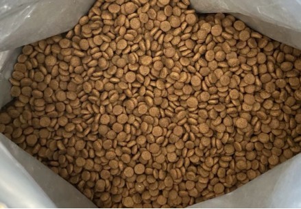 久生FIT猫粮测评：高蛋白低淀粉配方助猫咪体重管理