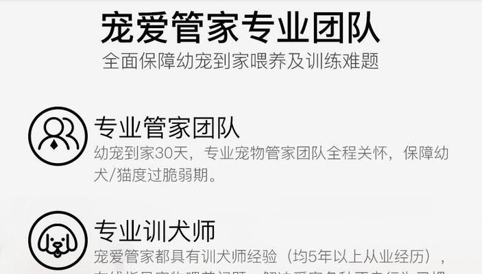 哈士奇驱虫指南：频率安排与正确喂养方法详解
