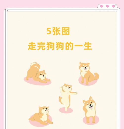 小狗出生后多久睁开眼睛及视力发育全过程详解 小狗出生后多久睁开眼睛及视力发育全过程详解